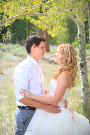 Amy + Jeff | Mt. Charleston Wedding | June 21, 2014 | Taylored Photo Memories *