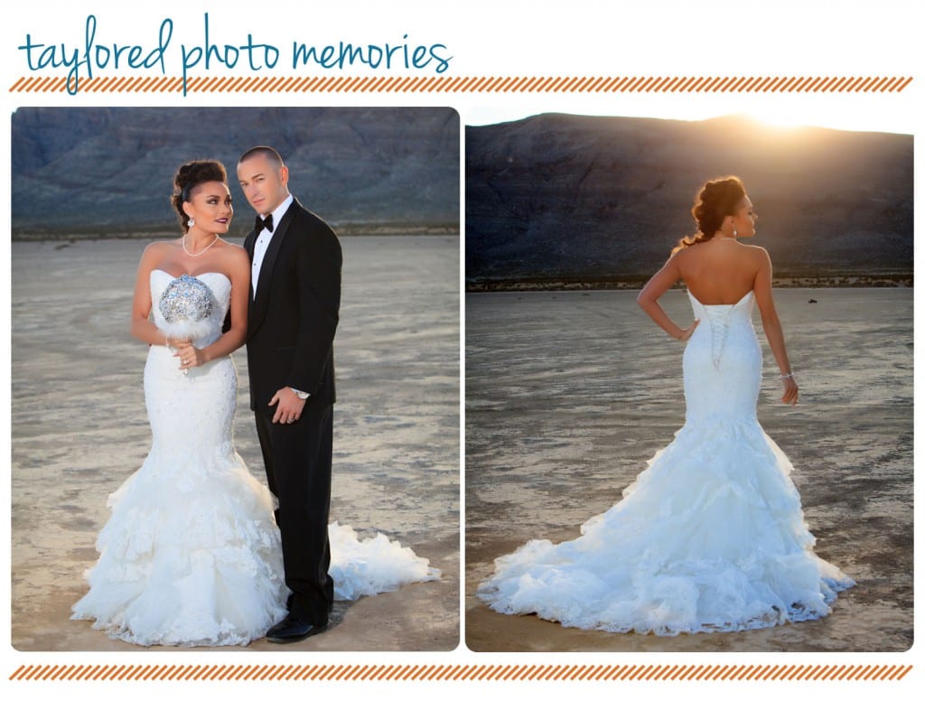 Jean Dry Lake Bed Wedding Photo Shoot