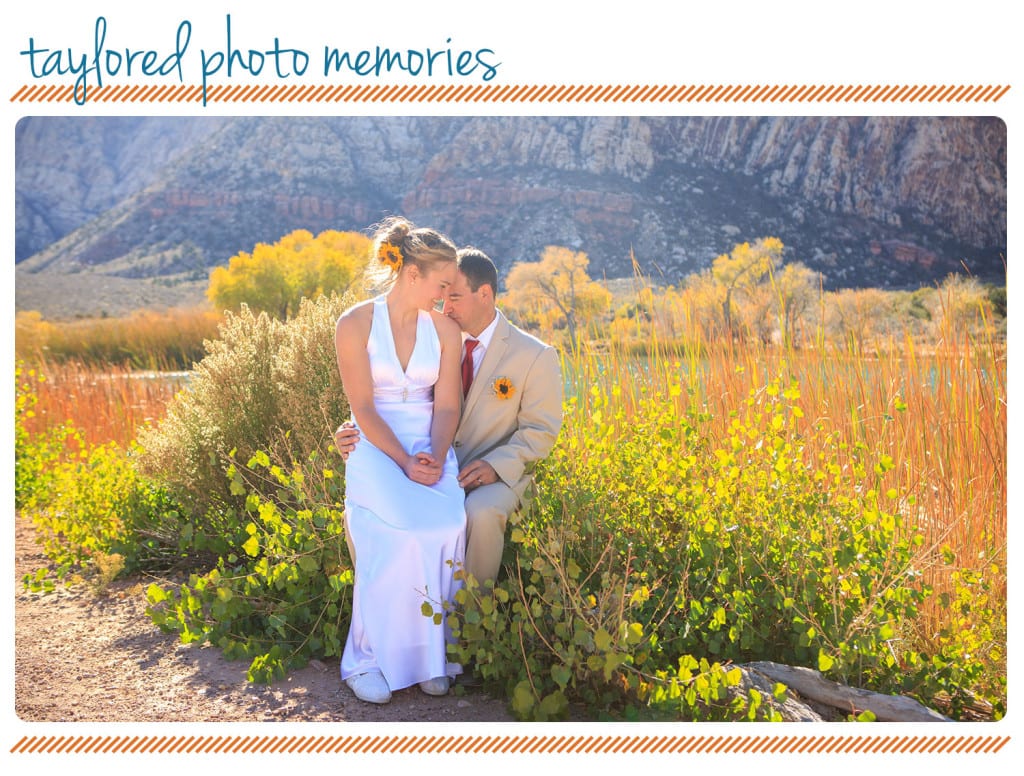 Lake Harriet at Spring Mountain Ranch State Park wedding | spring mountain ranch las vegas wedding