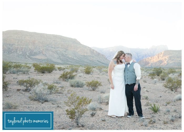Las Vegas Wedding Photographer / Cactus Joes Wedding / Desert Wedding